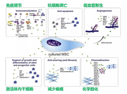 双重补色设计方案[双重染色是什么意思]