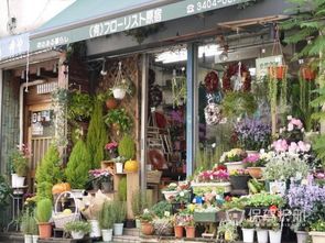 花店专修设计方案[花店专修设计方案模板]