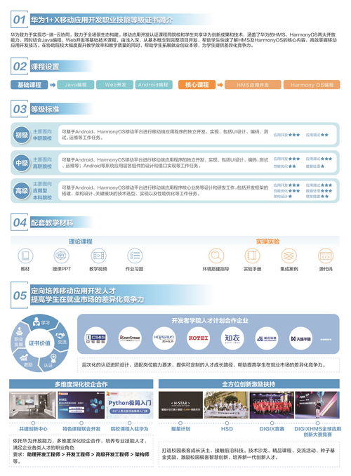 软件开发技术验证,软件开发如何验收