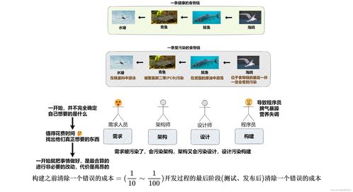 软件开发qc流程,软件qa流程