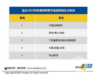 软件开发质量审计,软件开发质量审计内容