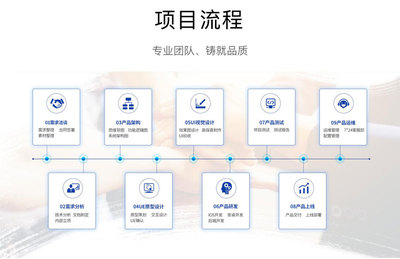 项目软件开发系统,软件项目开发流程图