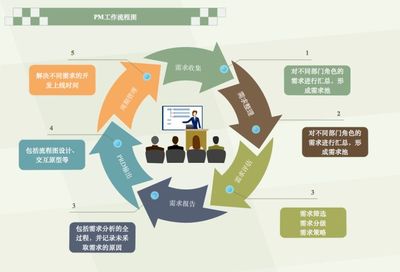 软件开发投放案例,软件开发投放案例范文