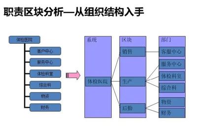 软件开发体检要求,软件公司入职体检项目有哪些