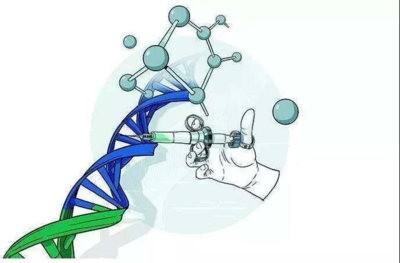 基因比对软件开发,基因比对是干什么用