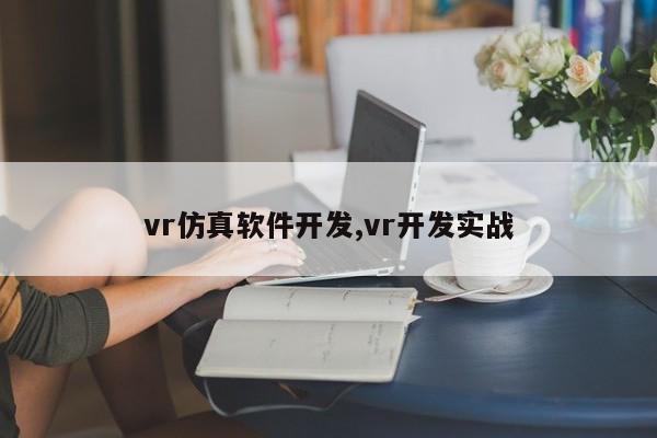 vr仿真软件开发,vr开发实战