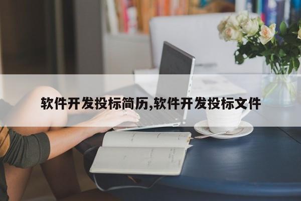 软件开发投标简历,软件开发投标文件