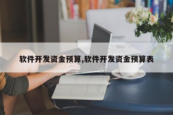 软件开发资金预算,软件开发资金预算表