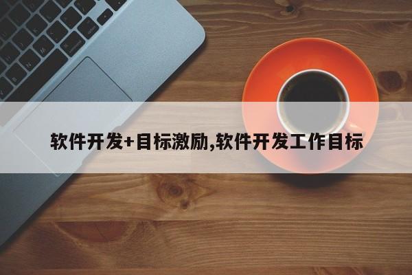 软件开发+目标激励,软件开发工作目标