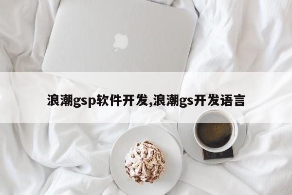 浪潮gsp软件开发,浪潮gs开发语言