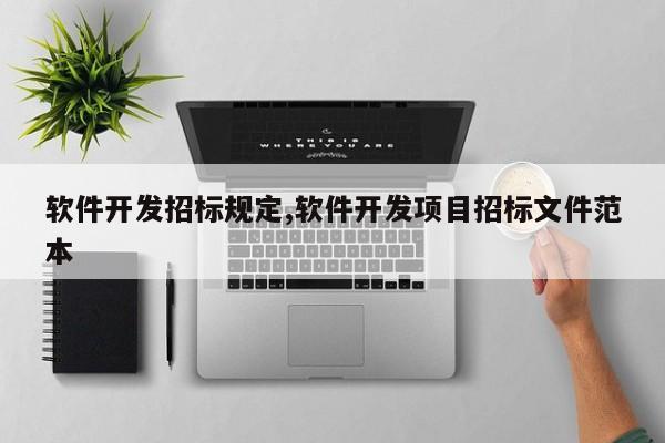 软件开发招标规定,软件开发项目招标文件范本