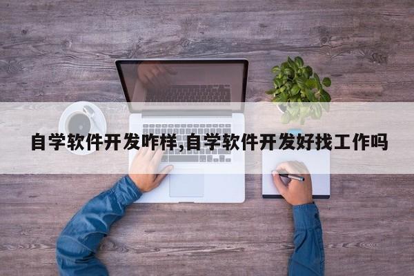 自学软件开发咋样,自学软件开发好找工作吗