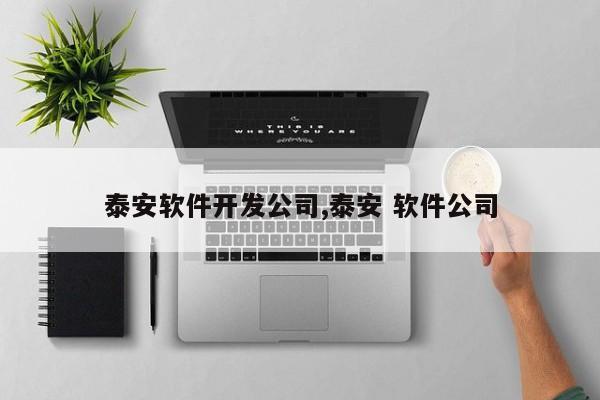 泰安软件开发公司,泰安 软件公司