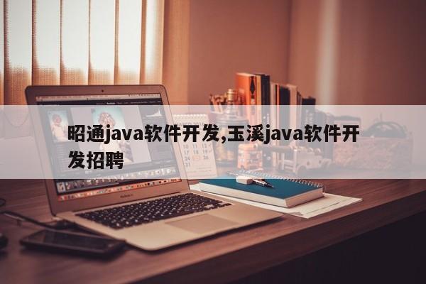 昭通java软件开发,玉溪java软件开发招聘