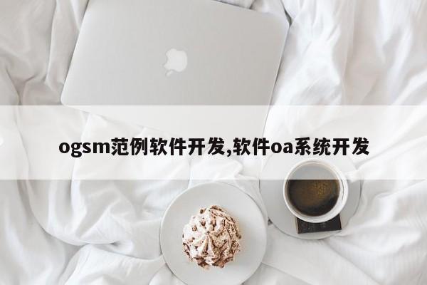 ogsm范例软件开发,软件oa系统开发