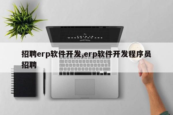 招聘erp软件开发,erp软件开发程序员招聘