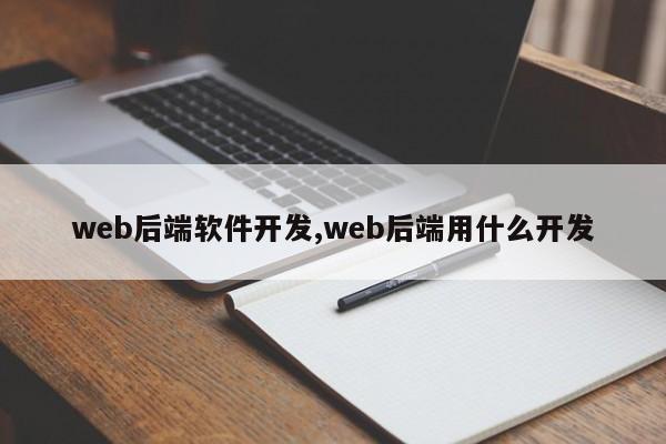 web后端软件开发,web后端用什么开发