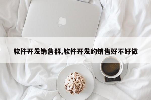 软件开发销售群,软件开发的销售好不好做