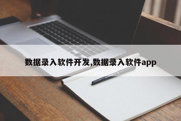 数据录入软件开发,数据录入软件app