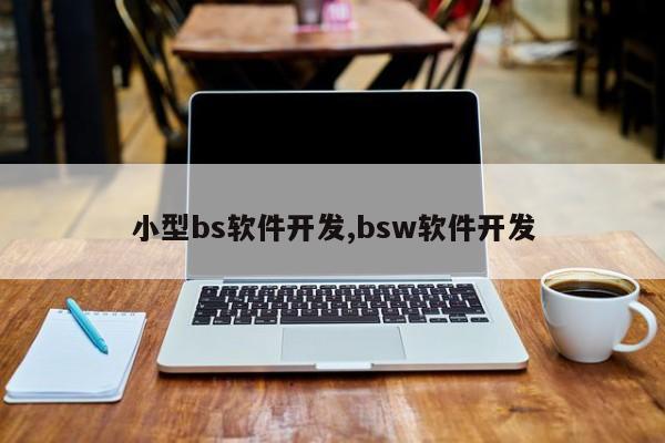 小型bs软件开发,bsw软件开发