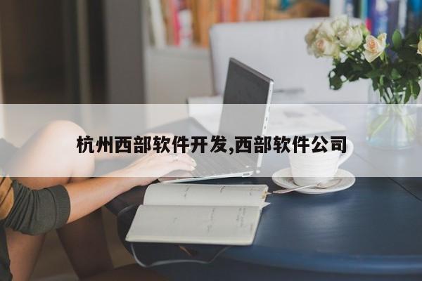 杭州西部软件开发,西部软件公司