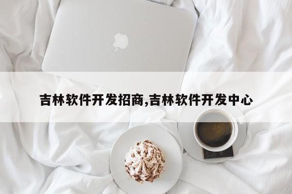 吉林软件开发招商,吉林软件开发中心