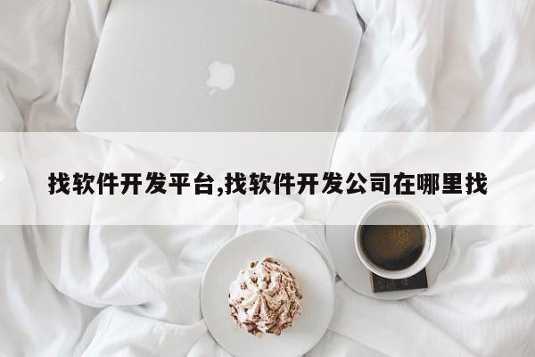 找软件开发平台,找软件开发公司在哪里找